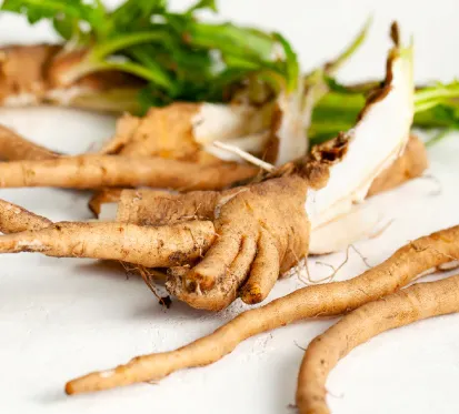 Javatide™ Chicory Root Inulin